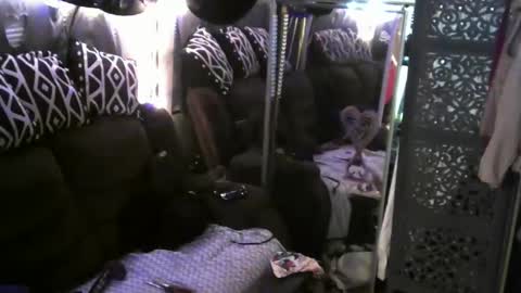 Jamie Rose Queenschild ever... online show from February 2025 10:53:02 AM