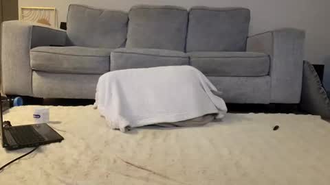 Snapshot of jamesjackin85 chatting on December 2024 07:00:01 PM jamesjackin85 online show from December 2024 07:00:01 PM