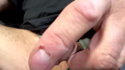 Snapshot of jamesquebec1991 chatting on October 2025 12:16:02 PM jamesquebec1991 online show from October 2025 12:16:02 PM