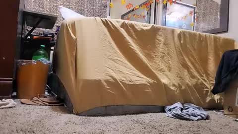 Bootyshows online show from December 2025 12:43:02 PM