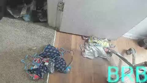Snapshot of jamwarnerone chatting on August 2026 03:54:01 PM Bootyshows online show from August 2026 03:54:01 PM