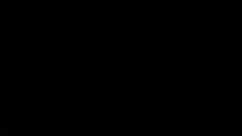 jasmine_star12 online show from January 2026 07:30:01 PM