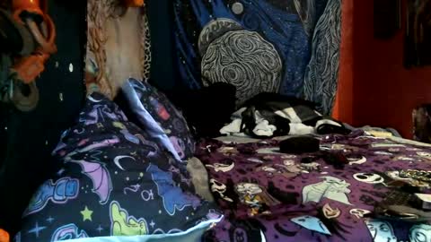 Snapshot of jax_skyfallin chatting on February 2025 10:46:01 AM jaxxx666 online show from February 2025 10:46:01 AM