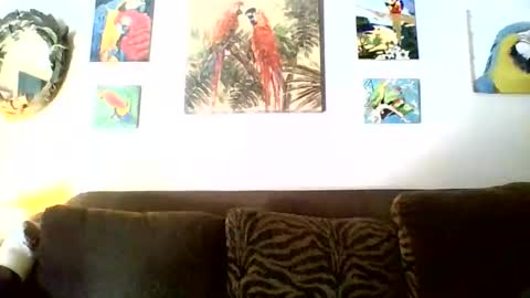 Snapshot of jay_jay1475 chatting on November 2025 06:46:02 PM jay-jay1475 online show from November 2025 06:46:02 PM