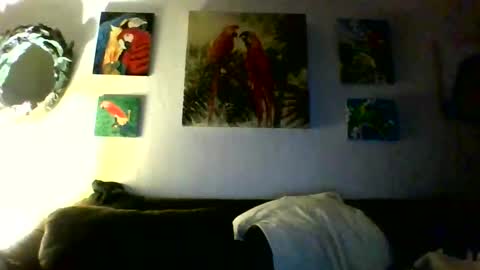 Snapshot of jay_jay1475 chatting on January 2026 10:08:01 PM jay-jay1475 online show from January 2026 10:08:01 PM