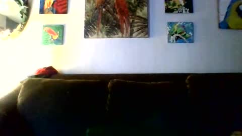 Snapshot of jay_jay1475 chatting on February 2026 09:42:01 PM jay-jay1475 online show from February 2026 09:42:01 PM