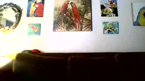 Snapshot of jay_jay1475 chatting on February 2026 06:15:02 PM jay-jay1475 online show from February 2026 06:15:02 PM