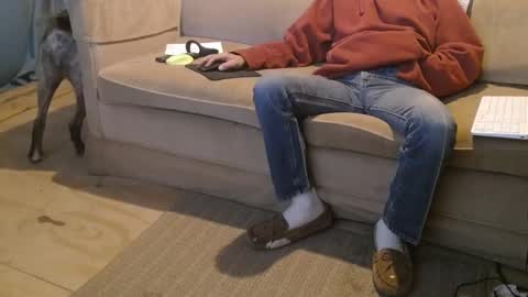 O F   jay short786 online show from February 2025 02:29:02 AM