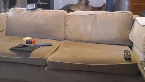 O F   jay short786 online show from March 2025 07:04:02 PM