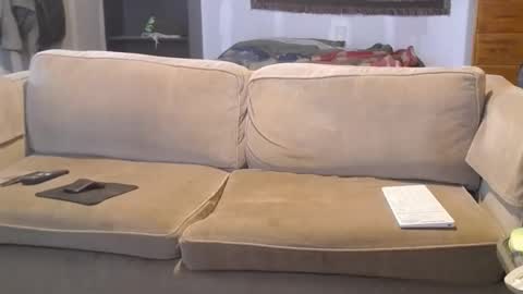 O F   jay short786 online show from March 2025 02:54:02 PM