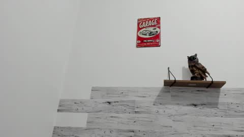 Jaycreedd online show from March 2025 04:27:02 AM