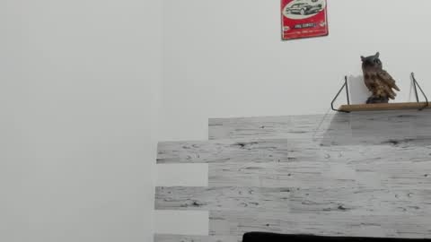 Jaycreedd online show from September 2025 11:50:02 PM