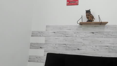 Jaycreedd online show from November 2025 04:42:01 PM