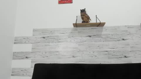 Jaycreedd online show from December 2025 04:10:01 AM