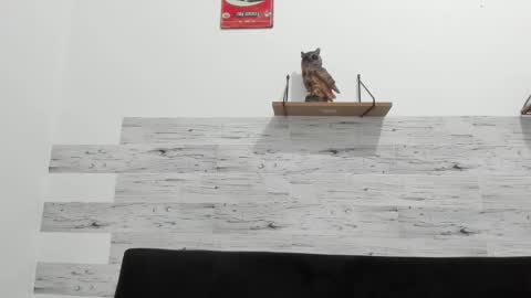 Snapshot of jaycreedd chatting on January 2026 03:23:02 AM Jaycreedd online show from January 2026 03:23:02 AM