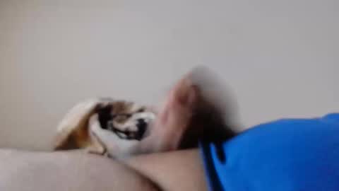 Snapshot of jayl458 chatting on March 2025 10:59:02 AM jayl458 online show from March 2025 10:59:02 AM