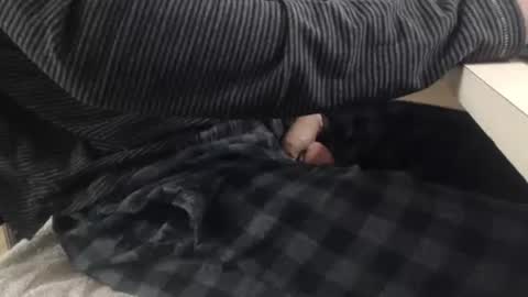 jc200000 online show from November 2025 06:31:01 PM