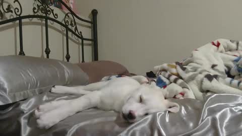 Jack online show from February 2026 07:51:02 AM