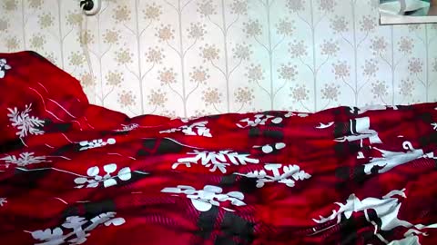 Snapshot of jellykulli chatting on December 2024 09:31:02 AM jellykulli online show from December 2024 09:31:02 AM