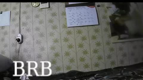 Snapshot of jellykulli chatting on March 2025 04:24:02 PM jellykulli online show from March 2025 04:24:02 PM