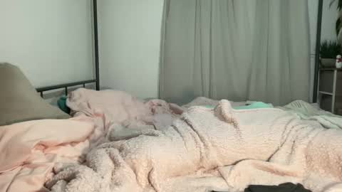 Mistress Jenni online show from December 2024 06:47:01 AM