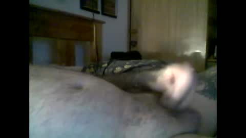 jerkmate6666 online show from November 2025 09:25:02 PM