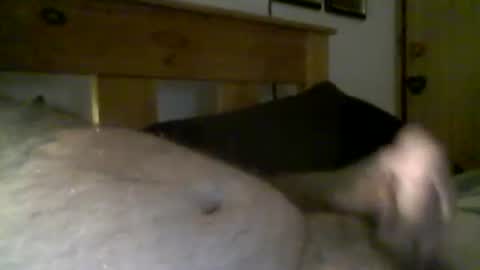 jerkmate6666 online show from March 2026 08:18:02 AM