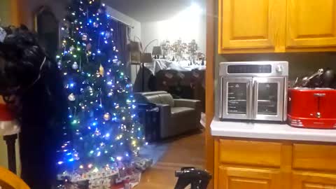 seductress Cyber Succubus online show from December 2025 10:16:01 PM