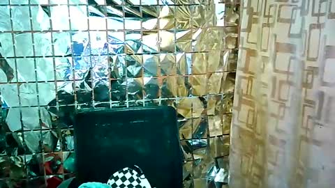 Ale online show from February 2025 01:16:01 PM