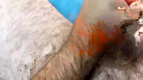 Snapshot of jkriss4545 chatting on September 2025 06:24:01 PM Jkriss online show from September 2025 06:24:01 PM