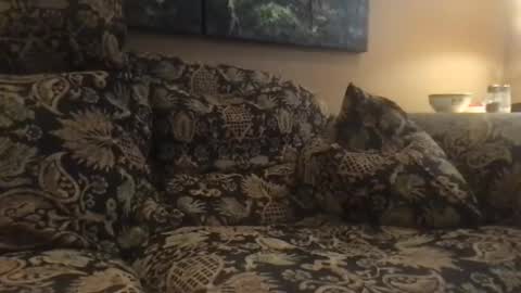 Snapshot of jlk7777 chatting on December 2024 07:01:01 PM jlk7777 online show from December 2024 07:01:01 PM