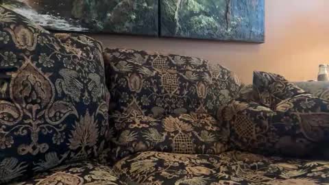 Snapshot of jlk7777 chatting on February 2026 05:17:02 PM jlk7777 online show from February 2026 05:17:02 PM