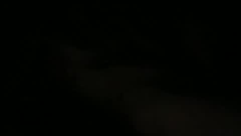 joe_3332 online show from May 2026 07:48:02 AM