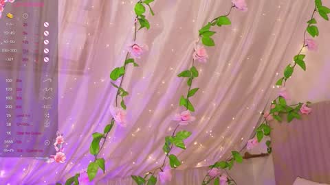 Joe online show from December 2025 04:19:02 AM