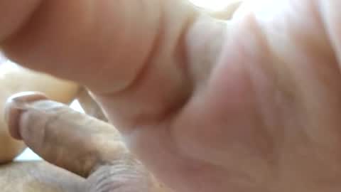 johnnnn2331 online show from November 2025 02:17:02 AM