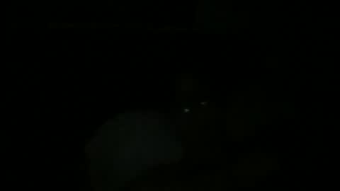 Snapshot of johnukber chatting on December 2024 12:45:02 AM John Ukber online show from December 2024 12:45:02 AM