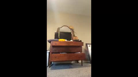 Johnynasty87 online show from May 2026 11:22:02 PM