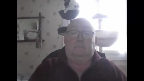 Snapshot of jojo60000529566 chatting on December 2024 02:13:02 PM jojo60000529566 online show from December 2024 02:13:02 PM