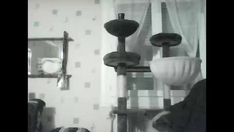 Snapshot of jojo60000529566 chatting on January 2025 07:13:02 PM jojo60000529566 online show from January 2025 07:13:02 PM