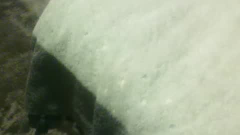 jonasbkk online show from September 2025 08:36:02 AM