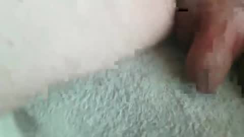 jonasbkk online show from January 2026 07:12:01 AM