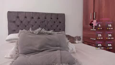 Will online show from February 2026 06:53:01 PM