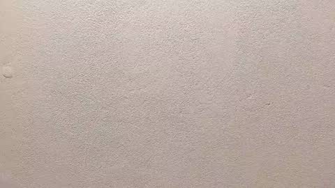 Snapshot of joseph_palacios chatting on September 2025 06:51:01 PM joseph palacios online show from September 2025 06:51:01 PM