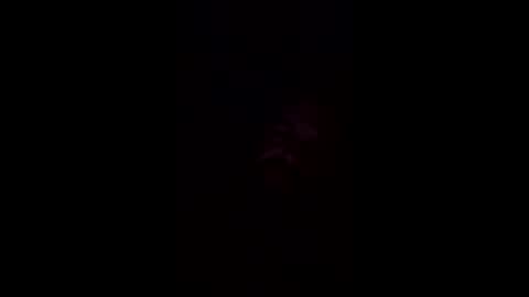 josephwalsh334 online show from April 2026 07:31:01 AM