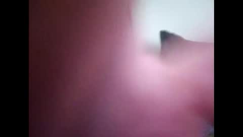 joshinterchecks online show from February 2026 03:10:01 PM