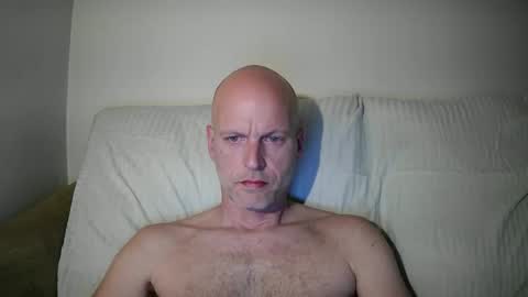 Snapshot of joshking2017 chatting on January 2025 07:49:02 PM joshking2017 online show from January 2025 07:49:02 PM