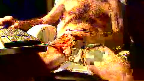 joystik4u60 online show from November 2025 01:35:02 PM