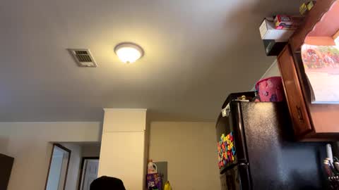 Assholelover online show from February 2025 06:31:01 PM