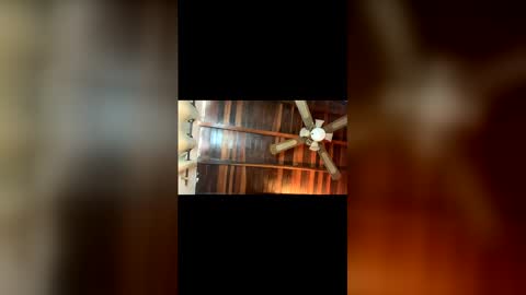 lJuanl online show from June 2026 01:38:02 PM