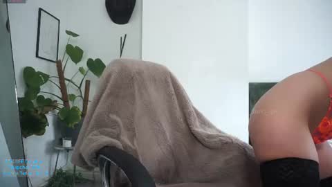    online show from July 2026 11:51:02 AM